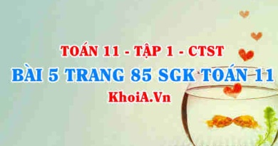 Bài 5 trang 85 SGK Toán 11 Tập 1 Chân trời sáng tạo